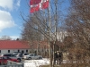 Indvielse af åslynge